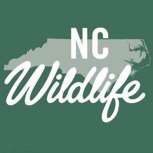 NC wildlife