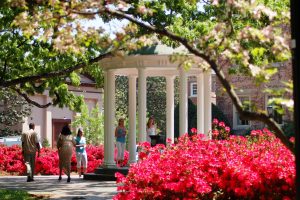 Chapel Hill termite control