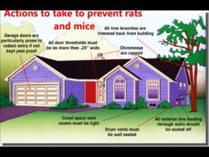 pest exclusion