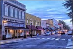 Pest Control in Apex NC