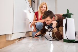 bed bug treatment