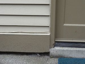 wood rot repair