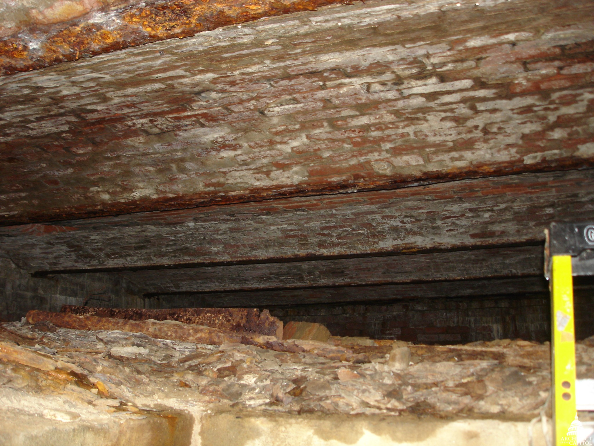 download rot wood klei download rot wood klei