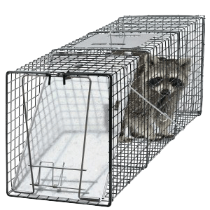 humane trap
